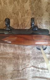 Colt Sauer .375 H&H Sporting Rifle - 8 of 12