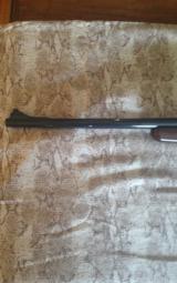 Colt Sauer .375 H&H Sporting Rifle - 10 of 12
