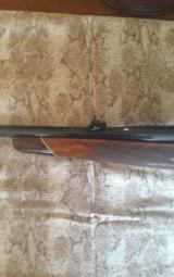 Colt Sauer .375 H&H Sporting Rifle - 9 of 12