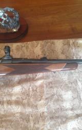 Colt Sauer .375 H&H Sporting Rifle - 4 of 12