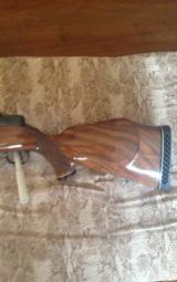 Colt Sauer .375 H&H Sporting Rifle - 7 of 12