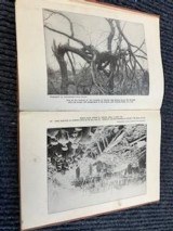 Two Unique Publishers' Agent Specimen Books (circa 1912) - 14 of 15