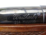 Varmintmaster
224 Weatherby Mark V - 10 of 15