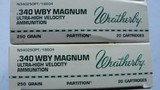 340 WBY Mag.
250 Grain Partition - 3 of 4