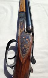 V. Bernardelli Gamecock Premier - 9 of 11