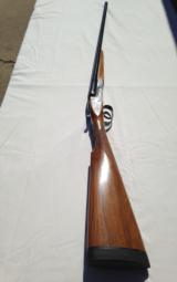 V. Bernardelli Gamecock Premier - 1 of 11