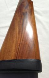 V. Bernardelli Gamecock Premier - 6 of 11