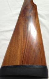 V. Bernardelli Gamecock Premier - 7 of 11