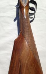 V. Bernardelli Gamecock Premier - 10 of 11