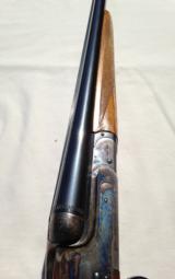 V. Bernardelli Gamecock Premier - 11 of 11