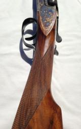 V. Bernardelli Gamecock Premier - 8 of 11