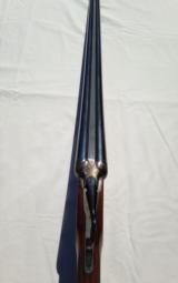 V. Bernardelli Gamecock Premier - 5 of 11