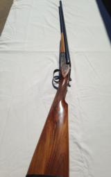 V. Bernardelli Gamecock Premier - 2 of 11