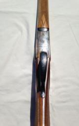 V. Bernardelli Gamecock Premier - 3 of 11