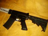 Bushmaster .556 - 3 of 4