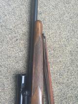 Winchester Model 70 in .220 Swift, 1945 Manufacture with Period Stith Scope and Mount - 8 of 13
