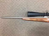 Rare Sako 75 Stainless Varmint Laminated With Set Trigger in 6mm PPC with Sightron SIIISS 10-50x60 Scope - 4 of 12