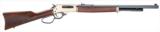 Henry Repeating Arms LEVER ACTION, 45-70 GOVT. - 1 of 1