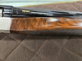 Benelli Raffaello World Class (500 Anniversary) 250TH OF 500 - Image 9 of 12