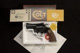 Flawless Colt 2 1/2
