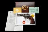 Flawless Colt Diamondback 4