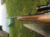 Winchester Model 88 .358 - 4 of 14
