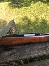 Winchester 88 Pre 64 .308 - 17 of 18