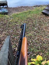 Remington 600 .350 Rem Mag Vent Rib - 14 of 18