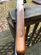 Winchester 88 .243 Transition Rifle SPECTACULAR! - 15 of 20