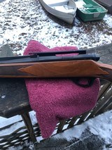 Remington 600 .243 Vent Rib - 10 of 19