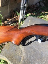 Winchester 88 .308 Carbine Shooter - 7 of 16