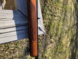 Winchester 100 Post 64 .284 Red W - 11 of 16