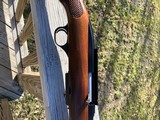 Winchester 100 Post 64 .284 Red W - 3 of 16