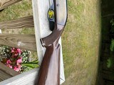 Remington Nylon 66 - 11 of 19