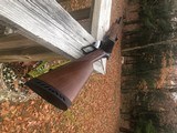 Marlin 1895 .450 - 2 of 18