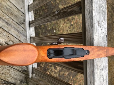 Remington 600 .358 - Image 16 of 16