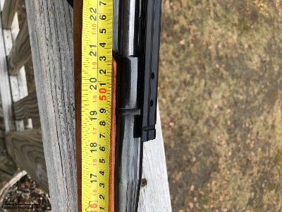 Remington 600 .358 - Image 12 of 16