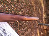 Winchester 88 Carbine Stock - 8 of 13