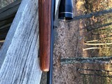 Winchester 88 Pre 64 .243 - 7 of 20