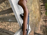 Winchester 100 CARBINE.308 RED W - 10 of 18