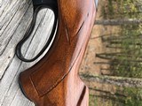 Winchester 88 .284 Pre 64 - 5 of 19