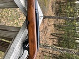 Winchester 88 .284 Pre 64 - 6 of 19