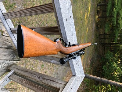 Winchester 88 .243 Post 64