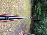 Winchester 88 .358 Pre 64 NICE - 17 of 20