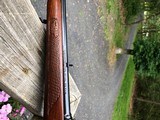 Winchester 88 .308 Post 64 Red W - 16 of 17