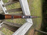 Winchester 88 .308 Post 64 Red W - 13 of 17