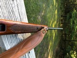 Winchester 88 .243 Post 64 RED W - 17 of 17