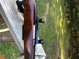 Winchester 88 .243 Post 64 RED W - 10 of 17