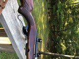 Winchester 88 .243 Post 64 RED W - 11 of 17