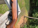 Winchester 88 .308 Post 64 RED W - 6 of 18